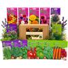 Nojaus Sėklos Nojus - Collezione di semi da giardino tedesca - 15 varietà - Semi di erbe aromatiche, ortaggi e fiori per orto domestico, aiuole rialzate, vasi da balcone - Scatola di semi - 15 confezioni