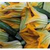 acquaverde Semi di ZUCCHINO GENOVESE DA FIORE(SEMENTE)
