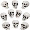 Fangoo 10 Pezzi Teschi di Halloween Realistico cercando Piccoli Teschi Teste Spaventoso Umano Scheletro Teschio Testa di plastica per Halloween Partito Tavolo Finestra casa Foto Prop Decorazione