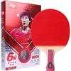 Ppbigu DHS 6002/6006 - Racchetta da ping pong 6 stelle, manico con manico o portapenne, serie Superstars con protezione in gomma/pellicola protettiva in gomma Ppbigu (Penhold-6006-CS)