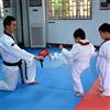 Generic Tampone Bersaglio Karate, Tampone Colpitore da Allenamento con Doppio Calcio per Maggiore Velocità e Precisione, Ideale per Praticanti di Taekwondo