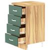 Shally Dogan Cassettiera per Cucina Mobile Mobiletto 4 Cassetti in Legno Colore Verde