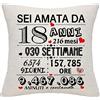 Bommex 18° Regalo di compleanno per ragazze Regalo di compleanno per 18 anni Ragazza 18 anni Copricuscino per figlia nipote sorella Bestie 18 anni Regalo per compleanno anniversario Natale(18)