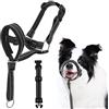 SDFWGG Collare a Cavezza Cane Museruola Regolabile per Muso a Cavezza Anti Tiro Collare la Testa Cane per Passeggiata Addestramento (Nero, m)