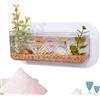ccuzs Acquario da parete, acquario da parete, decorativo, compatto, design acrilico trasparente, vaso da appendere, 1 pezzo, per camera da, cucina, ufficio, dormitorio