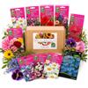 Nojaus Sėklos Nojus - Collezione di semi di fiori e prato da giardino - 30 varietà - Semi di fiori per bordure, vasi da balcone, giardini cottage e composizioni esterne colorate - Scatola di semi - 30 confezioni