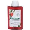 KLORANE (Pierre Fabre It. SpA) Klorane shampoo melograno 200 ml