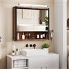 ELUCHANG Specchio da Bagno con Contenitore e Luci, Pensile da Bagno con 2 Ante, 1 Scomparto Aperto e 2 Vani Chiusi, Ripiano Interno Regolabile,Vintage+Nero, 60x13x60cm