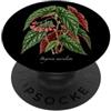 The Botany Bureau Illustrazione della pianta della begonia a pois Begonia maculata PopSockets PopGrip Adesivo