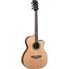 Eko, NXT A 100 CW EQ - NATURALE