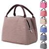 Nanxson Borsa per il Pranzo 5.5L borsa frigo porta pranzo Borsa Termica | Borsa Termic,Manutenzione di Freddo e Caldo per Uomo/Donna,Borsa Impermeabile,Facile da Pulire,Lunch Box Leggera e Portatile