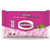 Inodorina Refresh - 40 Salviette Detergenti - Profumazione Aloe Vera