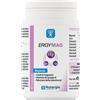 LABORATOIRE NUTERG ERGYMAG 90CPS