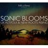 Various Artists Folk and Honey Presents Sonic Blooms: UK Alt-folk and New R (CD)