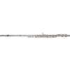 GEWA Roy Benson Flauto traverso FL-402E2 (Design a doppia articolazione, dritto e curvo, placcatura in nichel argento, include meccanismo E-M, Offset-G e accessori premium, per flautisti ambiziosi)