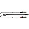 Cordial CFY 3 WMM-LONG - Cavo adattatore Y con jack stereo dorato da 3,5 mm e 2 connettori XLR maschio, lunghezza 3 m, Nero