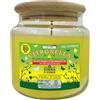 Cereria Di Giorgio - Candela in Giara alla Citronella - Durata 80 ore