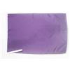 AZ FLAG Bandiera Monocolore Viola 45x30 cm Verde Poliestere 100D Cordini | Uso interno ed esterno bandiera decorativa doppie cuciture e bordi rinforzati