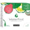 Zuccari Waterfirst Kiwi, Bergamotto, Guava 12 Stick