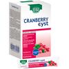 ESI Cranberry Cyst 16 Pocket Drink