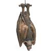 Bristol Novelty Pipistrello appeso, Taglia unica, HI124 Halloween