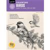 Maury Aaseng Drawing: Birds (Tascabile) How to Draw & Paint