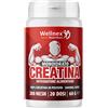 Wellnex Nutrition - Creatina Monoidrato Micronizzata | Pura in Polvere