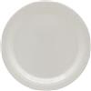 Piatti Color Party 42 Colorazioni Pastello 24cm x15 Pz Grigio Freddo