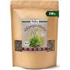 Biojoy Foglie di piantaggine lanceolata BIO, essiccate, tisana, 100 g | Tisana sfusa, tagliate, Plantago lanceolata L.