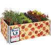 Garronda Orto Rialzato da Esterno con Stampa - Cassoni Orto Decorativi, Aiuola Rialzata in Legno 120x80x20 cm per Piante, Fiori, Erbe, Frutta e Verdura GD-0075 (Pomodoro con sfondo, 2 pz)