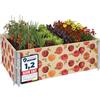 Garronda Orto Rialzato da Esterno con Stampa - Cassoni Orto Decorativi, Aiuola Rialzata in Legno 120x80x20 cm per Piante, Fiori, Erbe, Frutta e Verdura GD-0075 (Pomodoro, 2 pz)