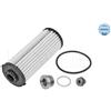 MEYLE AG Filtro Del Cambio Automatico Per Audi A1, A3, Q2, Q3, Tt, Seat Ateca, Leon, Tarraco, Skoda Superb Iii, Kodiaq I, Octavia