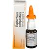 GUNA Heel Euphorbium Compositum Spray Nasale 20ml Guna