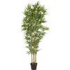 Bizzotto Pianta bamboo con vaso, h.185 cm