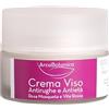 Arca Botanica, Crema Viso Antirughe e Antietà Bio, Rosa Mosqueta e Vite Rossa, 50 ml, con Acido Ialuronico, Burro di Karité e Aloe Vera, Certificata Biologica, Vegan