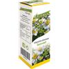 LIZOFARM Srl Feverfew 220 gocce 50 ml