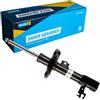 BILSTEIN Ammortizzatore Anteriore Sx A pressione del gas Compatibilità con OPEL Vectra C CC Z02 ammortizzatori 22-118738