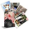 Diana Rose Harper The Rosebud Tarot (Cards)