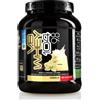 MOLDES Srl NET VB WHEY 104 9.8 Optipep - Proteine Isolate Idrolizzate , 450g Vaniglia