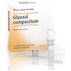 GUNA SpA Glyoxal Compositum 10 Fiale da 2,2ml - Medicinale Omeopatico, Rimedi Naturali, Trattamenti Olistici