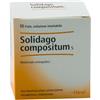 GUNA SpA Solidago Compositum 10 Fiale da 2,2ml - Rimedio Omeopatico per Disturbi Renali