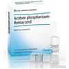GUNA SpA Acidum Phosphoricum-Homaccordi 10 Fiale - Rimedio Omeopatico per il Benessere