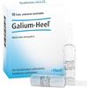 GUNA SpA Galium-Heel 10 Fiale da 1,1ml - Medicinale Omeopatico Iniettabile