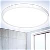 OUILA Plafoniera LED Soffitto Ø22CM, 6500K 18W Moderno Lampada da Soffitto
