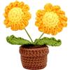 EANAGO Fiore a uncinetto decorativo, fatto a mano, regalo decorativo | Decorazioni fatte a mano per te o come regalo - un'idea regalo per un'amicizia - per ufficio, cucina, soggiorno.
