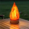 Sbyzm Lampada Finta Fiamma, Luce Notturna da Viaggio Ricaricabile 3D con Illuminazione Accogliente, Candele Finte per Camino LED a 3 Modalità per Decorazioni Appartamento Patio Esterni Campeggio