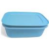 Tupperware Serbatoio congelatore con cristalli di ghiaccio per frigorifero, contenitore compatto e modulare per frigorifero, 450 ml, blu