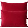 ZZDZW Lusso Cuscino Copre Caso Federa Cuscino 50x70 40x70 60x80 cm Copricuscino Per Divano con Cerniera Federe in Velluto per divano letto arredamento set di due Copricuscini(#10,50x70 cm set of 2)