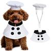 choyaxo Costume da chef per animali domestici, cappello da chef con mantello, costume di Halloween per cani di piccola taglia e gatto (Small)