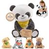 Lilly's Love Peluche ponderato 2,3 kg, animale calmando per ansia, Pete the Panda, sensoriale per bambini e adulti, lavabile in lavatrice con interno rimovibile